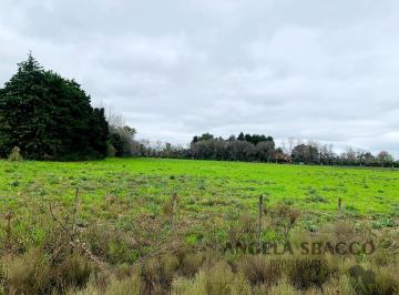 Terreno · 2000m² · Terrenos en El Remanso.