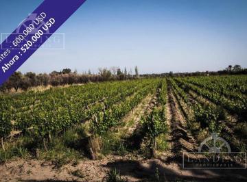 Campo · 24m² · 1 Ambiente · Campo - Finca Productiva de Primer Nivel, Sobre Ruta 7, Mendoza, 24 Has