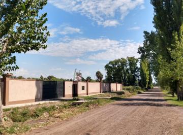 Terreno , El Sauce · Lote de 500 m² en Guaymallén
