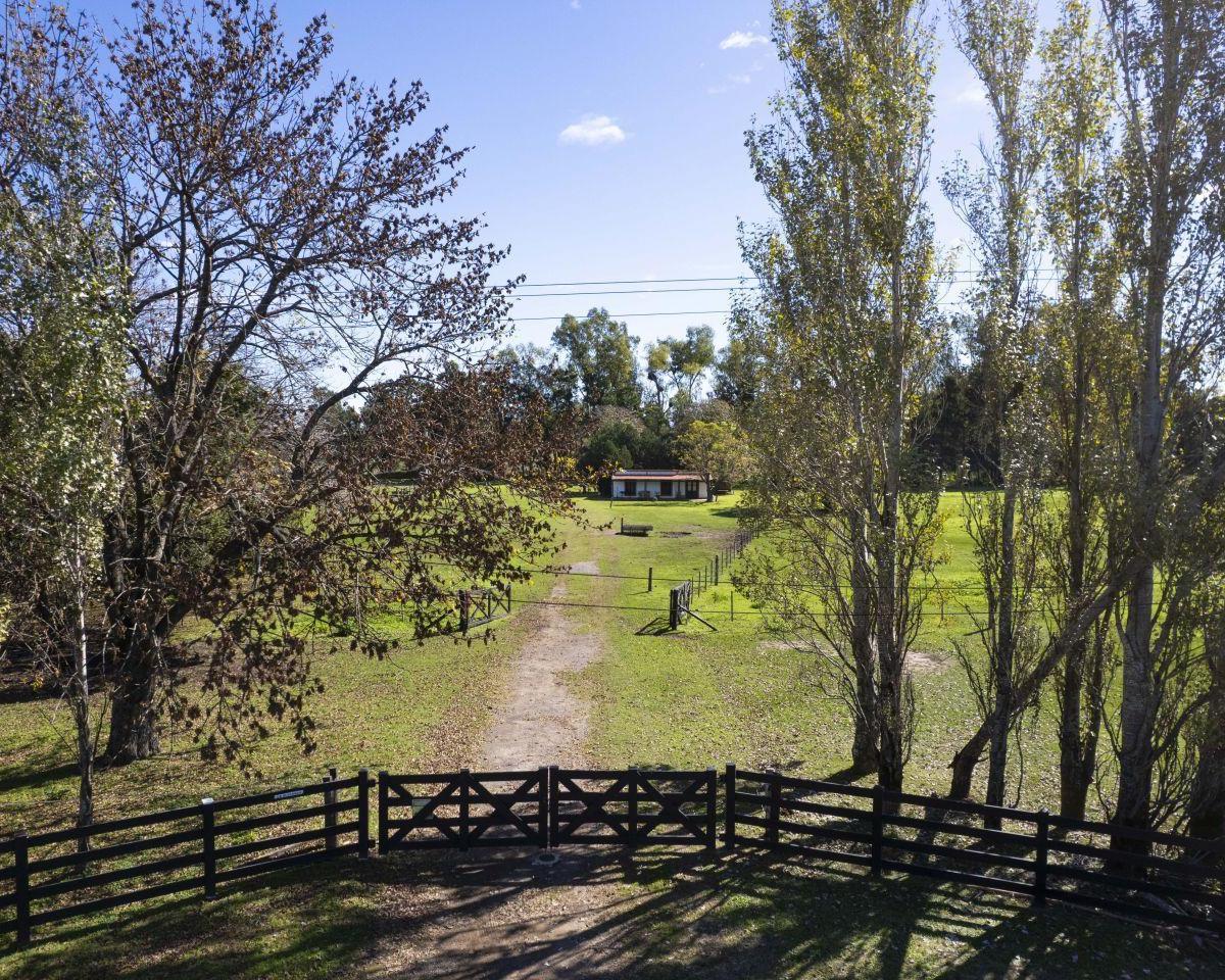 Ruta 41 271. Entre Camino del durazno y Callejon de lopez, San Antonio de Areco, San Antonio de Areco