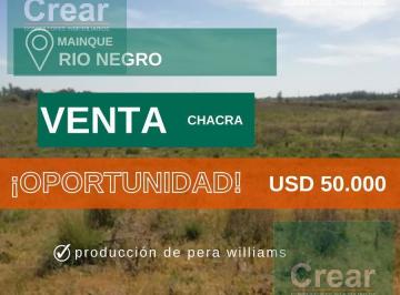 Campo · 50000m² · Chacra - Mainque