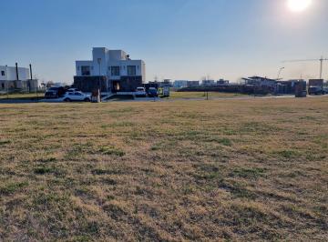 Terreno · 566m² · Bajó Precio, Terreno en Venta en Lote Interno en Carpinchos Nordelta, con Estudios de Suelo Hecho