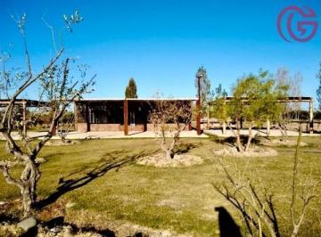 Quinta vacacional · 800m² · 10 Ambientes · Greenwood Inmobiliaria Vende Increible Complejo Turistico en Maipu