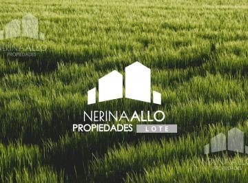 Terreno · 58m² · Terreno - San Antonio de Padua