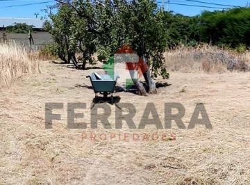 Terreno · 650m² · Venta - Lote Plano en Esquina Barrio Ñireco, Calle Benito Crespo