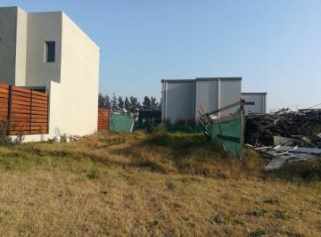 MBP-MBP-936_2 · Lote. | Calle 30 506 y 507