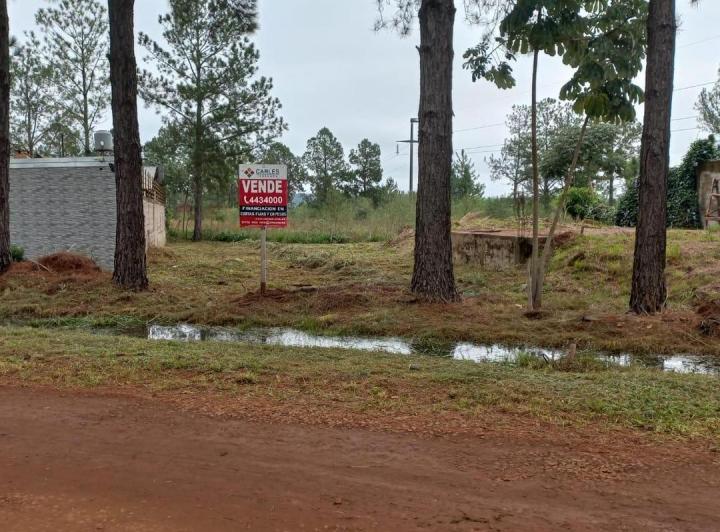Terreno · 298m²