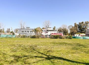 MSB-MS3-5319_2 · Lote. | Andres Chazarreta 1130
