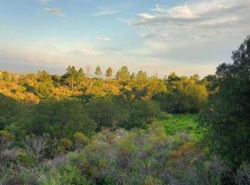 Terreno · 1000m² · Terreno en Venta de 1000 m² Ubicado en Tanti