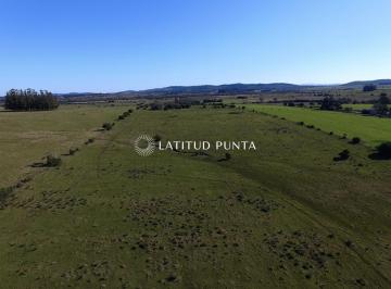Foto1 · Campo de 22 Has Próximo a San Carlos y Punta del Este