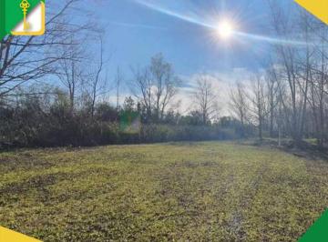 ALE-ALE-9633_2 · Venta - Lote - Tigre - Delta