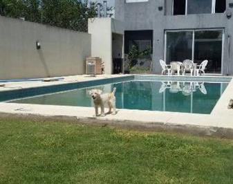 Casa · 240m² · 6 Dormitorios · 6 Cocheras · Excelente Casa - 10x50 - 4 Dorm - 4 Baños - Pileta - Quincho