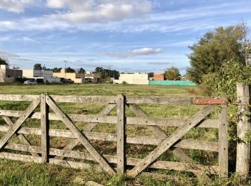 Terreno · 429m² · Terreno - San Antonio de Areco
