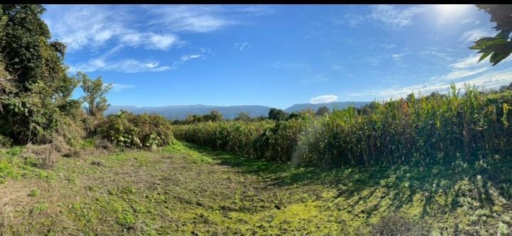 Campo en venta en La Cocha