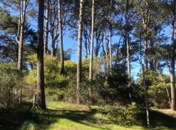 Terreno · Terreno - Punta Ballena