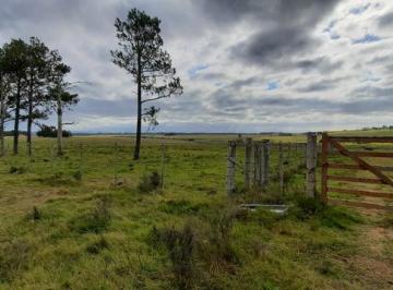 Campo · 5ha · Chacra - Manantiales. Ruta 104