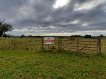 Campo · 50000m² · Chacra - Manantiales. Sobre Ruta 104. Km 13