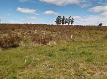 Campo · 340000m² · Campo - Pan de Azúcar