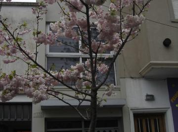 FRENTE · Vendo Hermoso PH con Local Independiente a La Calle 41 E/21 y 22