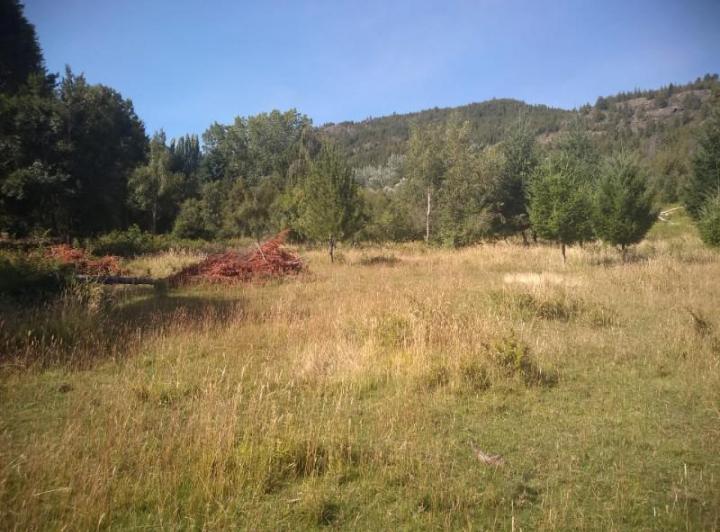 Terreno · 5000m²