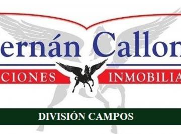 Terreno · 282m² · Excelentes Terrenos en San Clemente del Tuyu