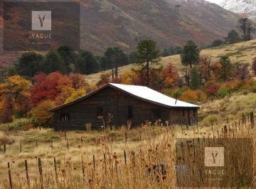 Campo · 600ha · 5 Ambientes · Campo - Alumine