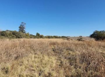Terreno · Venta Campo Industrial 3.5 Has!av. Circunvalacion!