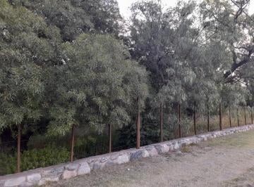 Terreno , Los Cocos · Lotea La Venta en Los Cocos –cordoba