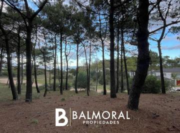 BML-BML-167_2 · Lote en Venta - Zona Pinamar Norte / 1524
