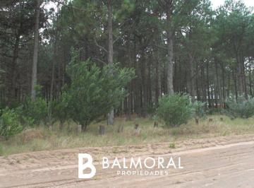 BML-BML-166_2 · Lote en Venta - Zona Pinamar Norte / Ref: 1523
