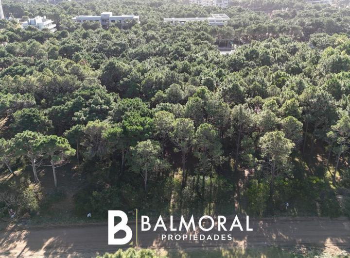 Terreno · 1238m²