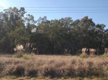 GNP-GNP-723_2 · Lote en Venta Sobre Autovía 2 Km 129.5 Chascomus - Arbolado