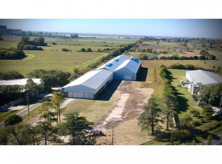 Bodega-Galpón · 9560m²