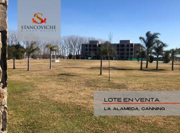 Terreno · 780m² · Terreno - La Alameda