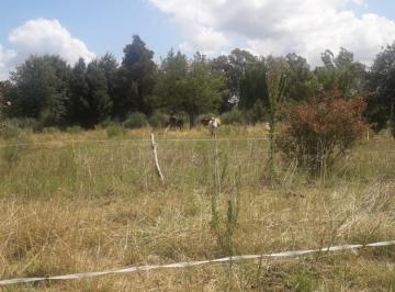 Terreno · 60000m² · 6 Ha con Casa y Galpón