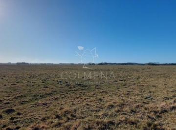 Foto1 · Venta Campo Ideal Para Fraccionar en Chacras Codigo 6003