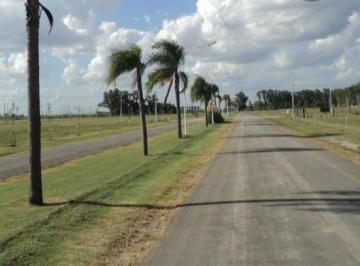 Terreno · 736m² · Excepcional Lote en Venta en Punta Chacra - Roldan