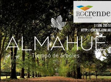 RGC-RGC-223_2 · Lote. | Pilar