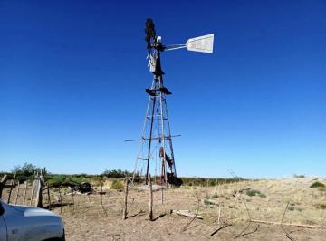Campo , Chelforó · Campo de 20.000 Has con Costa de Rio, en Choele Choel - Receptividad 800 Vacas