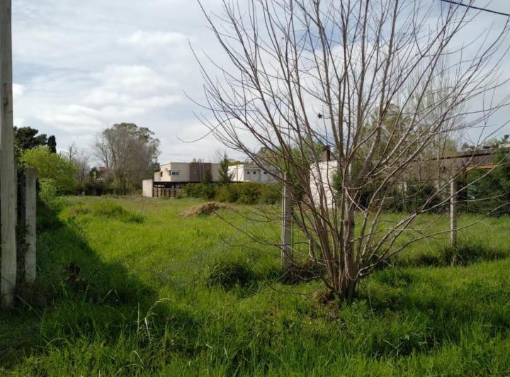Terreno · 1200m²