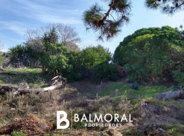 BML-BML-843_2 · Lote. | del Buen Orden