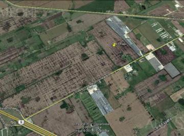 81 has · Campo de 81 Ha en Excelente Ubicación Frente a Ruta