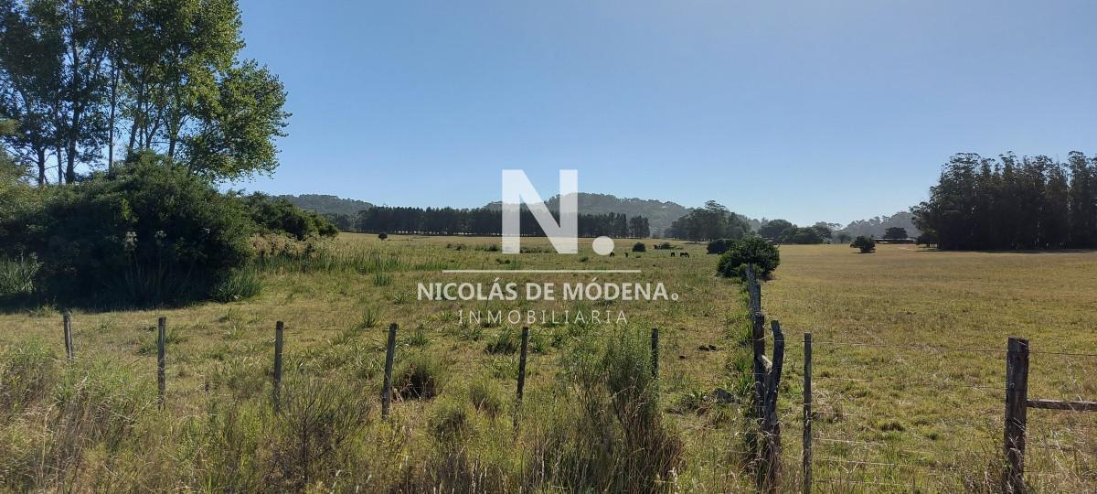 ,Punta Ballena,Otros Paises,  Punta Ballena, Maldonado
