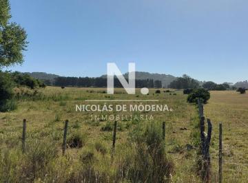 Foto1 · Venta Fracción de Campo en Zona La Pataia