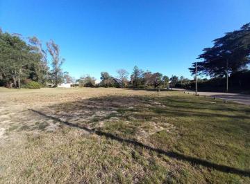 Terreno · 1000m² · Terreno - Punta Ballena
