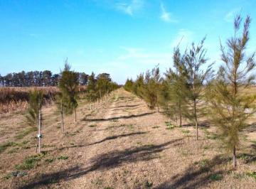 Terreno · 505m² · Terrenos en Barrio Jardín - Funes Paseo del Norte