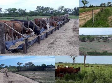 RGC-RGC-15_2 · Campo en Santiago del Estero