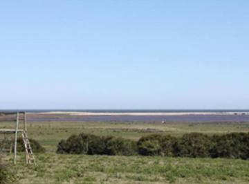 RGC-RGC-102_2 · Chacra en La Laguna