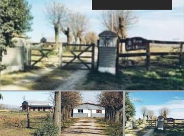 Campo de 8 ambientes, Carmen de Areco · Campo de 10 Hectáreas a 1.500 m. Ruta Nacional N 7. Ideal Para Harás.