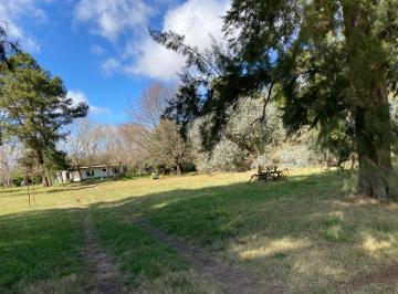 Campo · 450000m² · Campo - Las Flores